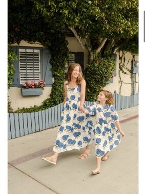 Pink Chicken Womens Sierra Blue Hydrangea Dress